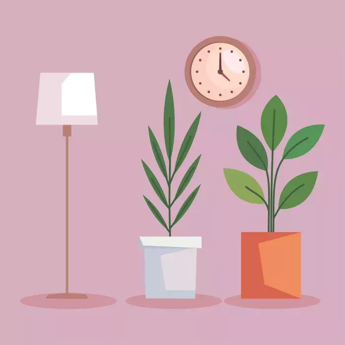 plantes pour dormir